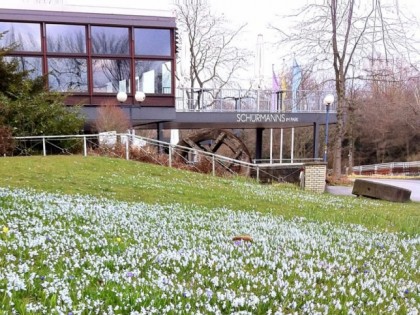 照片: Schurmanns im Park